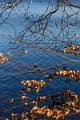 2020_02_22_lac des Settons (0009)